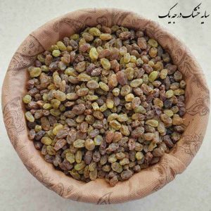 سایه خشک-01