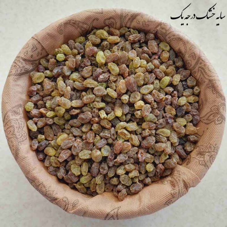 سایه خشک-01