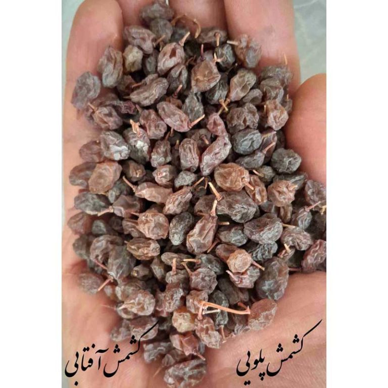 کشمش پلویی-01